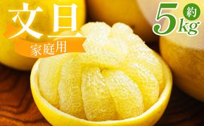 文旦 5kg 家庭用 混合（L〜2Lサイズ） 文旦 高知 訳あり ぶんたん ブンタン わけあり 5キロ 果物 柑橘 フルーツ 香南市産 高知県 nm-0001