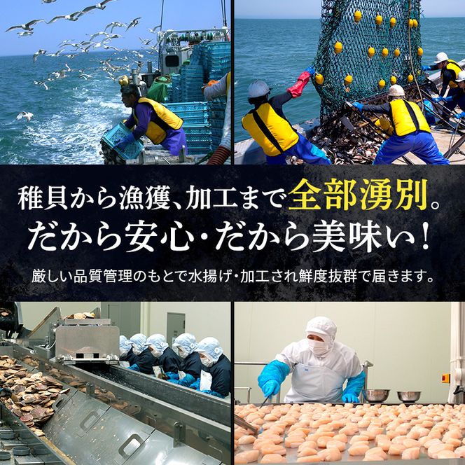 【最短当日発送】北海道オホーツク 湧別沖 ほたて 玉冷小分け パック  600g（300g×2P）【 ホタテ 帆立 ほたて スタンドパック 海鮮 刺身 貝 貝柱 魚介 魚介類 冷凍 北海道 湧別町 】