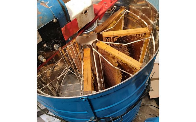 948.鳥取の花の香りを食卓へ。天然はちみつ3瓶セット（百花蜜、アカシア、トチ）67g×各1瓶（計3瓶） 蜂蜜 ハチミツ ハチ蜜 鳥取県産◇日本全国配送可能 313726_BW001