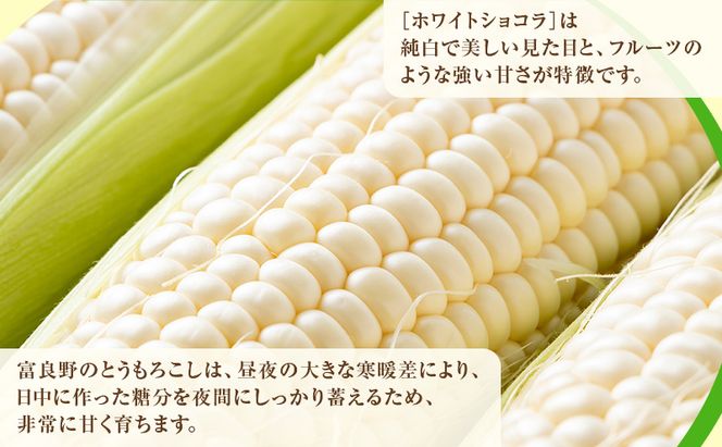 【2026年発送】富良野産 とうもろこし ホワイトコーン 約10本 コーン とうきび トウモロコシ ホワイトショコラ 2Lサイズ 野菜 甘い BBQ 北海道 富良野 ふらの