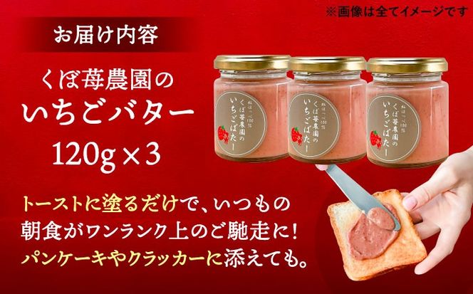 いちごバター 3本セット 果物 フルーツ 紅ほっぺ 愛西市 / くぼ苺農園 【配達不可：離島】[AECJ023]