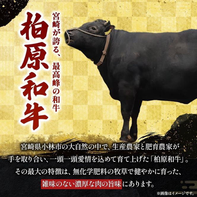 幻の和牛　「柏原和牛」　肉塊（ハンバーグ）780g（国産 黒毛和牛 宮崎牛 牛肉 ハンバーグ 冷凍 宮崎県 小林市）