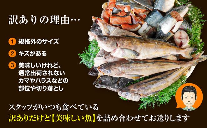 【2026年4月下旬発送】訳あり 北海道のおさかな屋さんの まかないセット 最大約4kg 魚 魚介 訳あり 期間限定