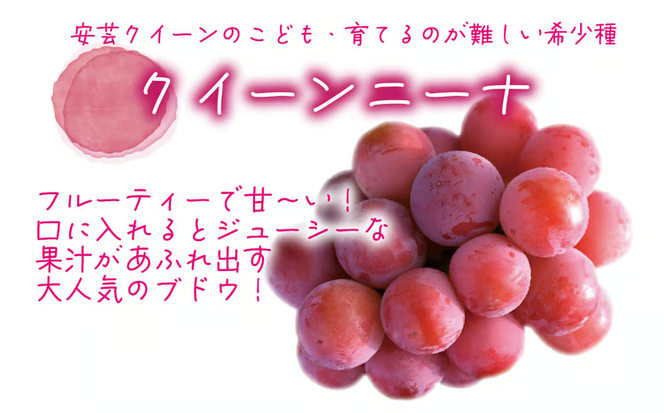 【2026年先行予約】岡山　花笑み農園『ニューピオーネ&クイーンニーナ』1kg(2房) / ぶどう 詰め合わせ 食べ比べ 真庭市【hana031-02】
