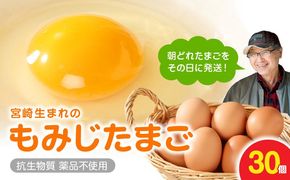 延岡産もみじ玉子30個 N033-YA0140