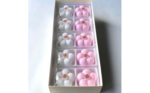 【2026年1月中旬以降発送】福薫る 10個入 御干菓子 和菓子 最中 もなか 松竹梅 山海堂  グルメ お菓子 菓子 食品 お土産 おやつ お茶請け お茶菓子 復興 震災 コロナ 能登半島地震復興支援 北陸新幹線 F6P-2045