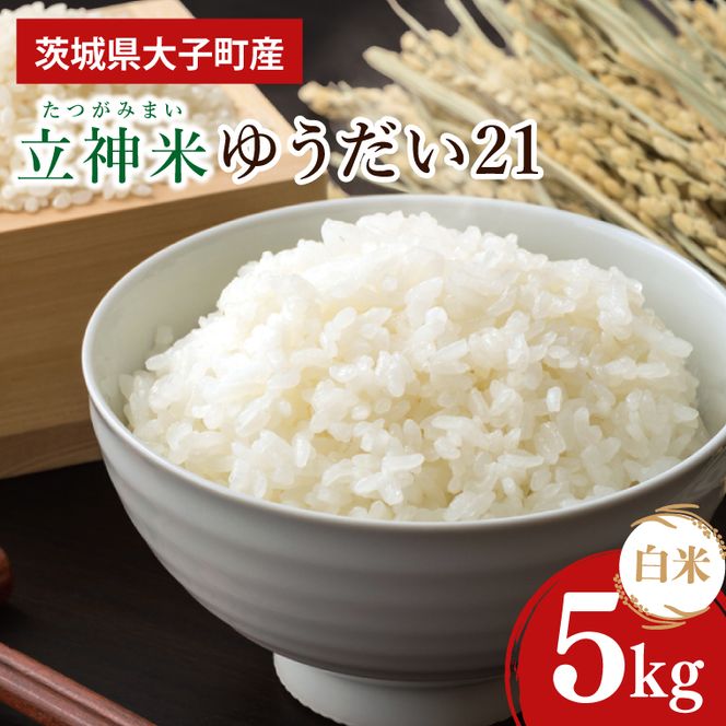 【金賞農家が栽培した家庭用米】立神米「ゆうだい21」5kg（白米）令和8年産 【谷田部農産】｜茨城県 大子町 米 コンテスト 受賞 生産者 大子産米 産地直送 令和8年産（BT074）