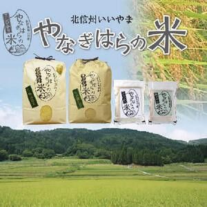 【令和6年産 新米予約】「やなぎはらの米　こしひかり」10㎏ (6-40)