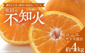 ZD6380n_【濃厚】有田産不知火約4kg（2L～5Lサイズ混合）