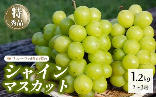 ＜25年発送先行予約＞シャインマスカット 約1.2kg 2～3房 154-007