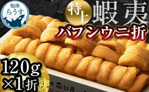 ＜先行受付＞＜27年1月～6月内発送＞エゾバフンウニ　折うに(特上)120×1枚 016942_BX007