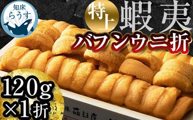 ＜先行受付＞＜27年1月～6月内発送＞エゾバフンウニ　折うに(特上)120×1枚 016942_BX007