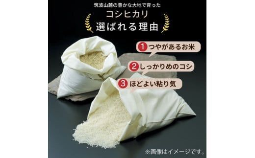 【5ヶ月定期便】令和8年産 茨城県産 コシヒカリ 精米 10kg (5kg×2袋) ※2026年10月～発送
