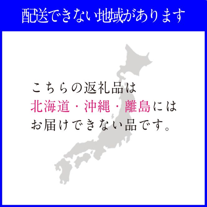 2026年先行予約【2回定期便】 プレミアムシャインマスカット晴王 2房約1.2kg 人気 岡山県産 赤秀品 種無し 皮ごと食べる みずみずしい9月10月お届け ハレノフルーツ