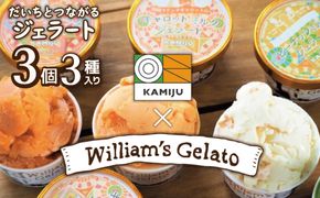 （お試し）【3種のフレーバーを食べ比べ!!】だいちとつながるジェラート3個セット 映えるデザインが可愛いと話題に!! マドンナキャロット 地元野菜 甘い アイス スイーツ デザート 洋菓子 可愛い 詰め合わせ キャロットミルク フルーツサラダ ピーナッツミルク 自慢 冷たい にんじん 人参 落花生 ピーナッツ 農家 神重農産 H105-260