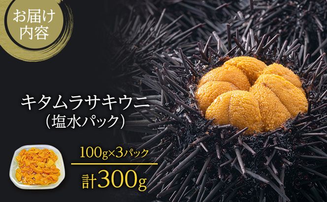 北海道 礼文島産 採れたて ミョウバン不使用 キタムラサキウニ 塩水パック 300g(100g×3個)［株式会社やまじょう］【 うに ウニ 雲丹 生うに 塩水うに キタムラサキウニ 滅菌海水 海鮮 うに丼 濃厚 甘み 】
