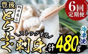 ＜定期便・全6回 (連続)＞とらふぐ刺身 (総量約480g・1-2人用×6回) とらふぐ ふぐ フグ ふぐ刺し フグ刺し ふぐ刺身 フグ刺身 刺身 鮮魚 冷凍 養殖 国産 大分県 佐伯市【AB204】【柳井商店】