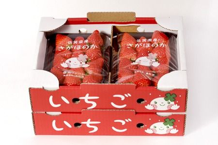 【先行受付 令和8年1月より発送開始】香月さんちのいちご(さがほのか)280g×4パック 【いちご イチゴ 苺 さがほのか 大玉 大粒フルーツ 果物  数量限定 香月農園 佐賀県産】(H017116)
