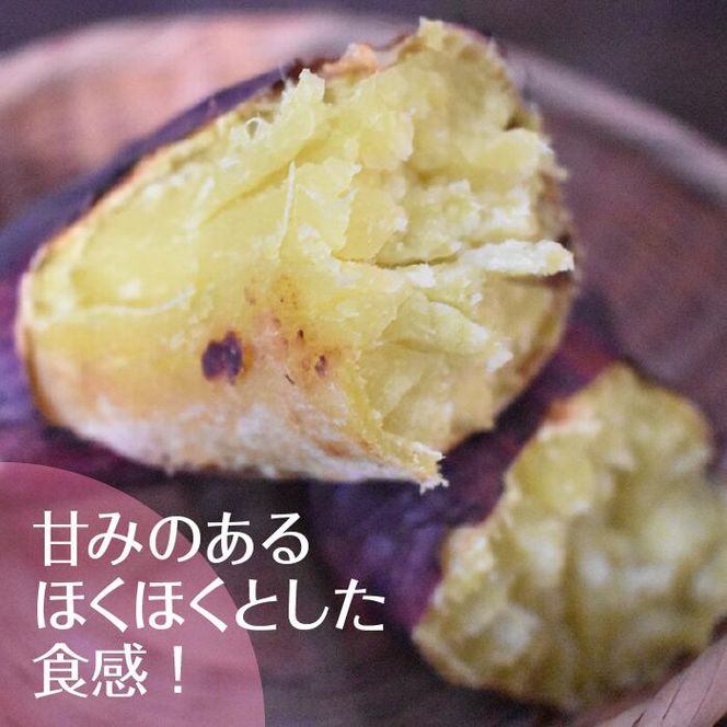 2025年度産 ホクホクで甘いさつまいも すずほっくり 約10kg｜さつまいも 芋 お芋 すずほっくり 渋谷農園 茨城県 行方市(BZ-12)