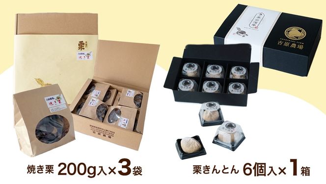 【 吉原農場 の 完熟栗 】 熟成 焼き栗 3袋・栗きんとん 1箱 セット 令和7年産 栗の深雫 完熟  くり クリ 栗ごはん おかし お菓子 果物 フルーツ 数量限定 旬 秋 冬 正月 おせち [CX025ci]