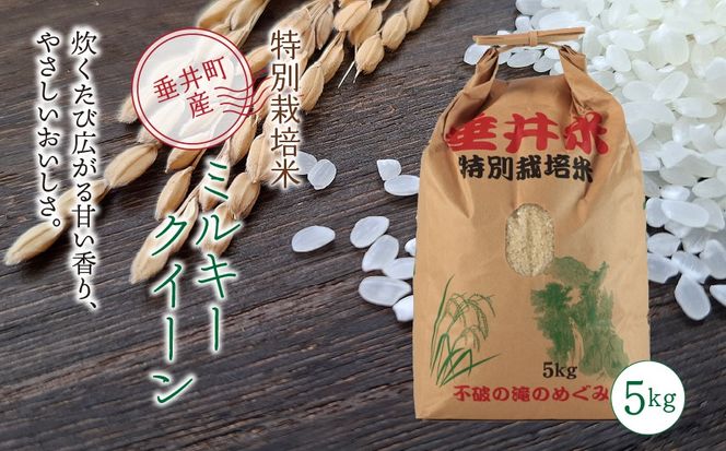 AL-5a 特別栽培米 垂井町産 ミルキークイーン 5kg