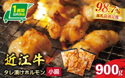 【1週間以内発送】味付けホルモン　秘伝のタレ漬け　近江牛小腸　900g（300g×3）【FO74W】（滋賀県　近江八幡市）