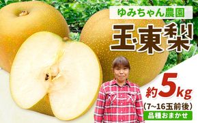 『ゆみちゃん農園』の玉東梨 約5kg 7玉-16玉前後 《2026年8月下旬-10月上旬頃出荷》熊本県玉名郡玉東町 梨 なし 果物 フルーツ 旬の梨---sg_cyuminashi_l810_r8_14500_5kg---