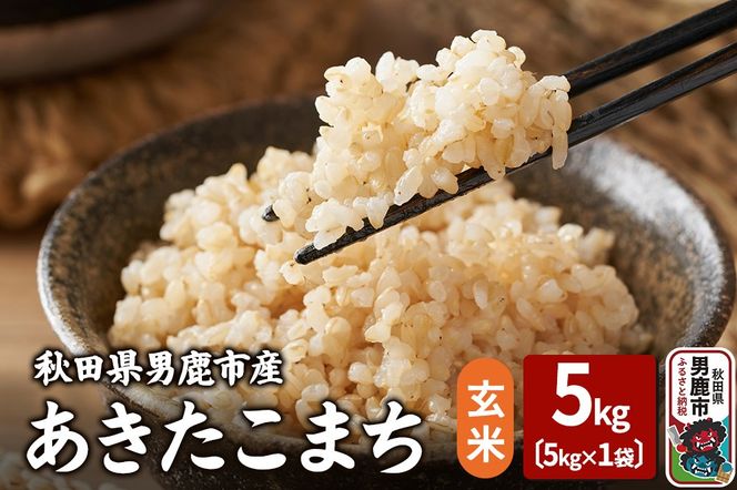 yHcjszߘa7NY ܂  5kg g^X Hc js  ٓ ɂ|23_ysu-220501a