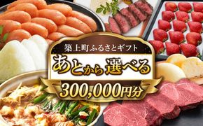 【あとから選べる】築上町ふるさとギフト 30万円分 ハンバーグ 餅 米 明太子 博多和牛[ABZY015]