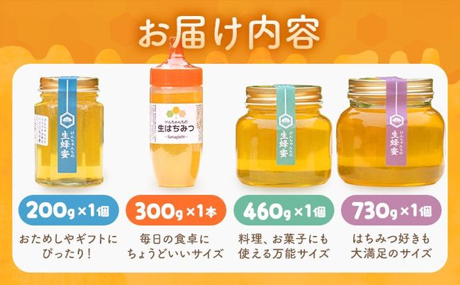 【CF】けんちゃんちのはちみつ  200g 300g 460g 730g 全部セット《30日以内に出荷予定（土日祝除く）》ふるさと納税 はちみつ ハチミツ 蜂蜜 国産蜂蜜 天然蜜蜂 徳島県 佐那河内村 送料無料---tsm_mkf8_30d_25_28500_1690g---