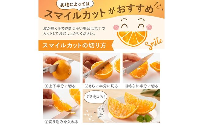 ＜2027年1月～4月上旬発送＞JAむなかたかんきつ部会が厳選したみかん（中晩柑）計5kg【JAほたるの里】_HA0280