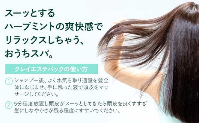 トリートメント クレイエステ パック EX 300g 500g 1000g 選べる 内容量 《30日以内に出荷予定(土日祝除く)》茨城県 結城市 化粧品 ヘアケア トリートメント ミント スカルプ ヘアエステ クレイ 詰め替え用 ケア用品 ヘア 美容【配送不可地域あり】---yuki_s_24_300g---