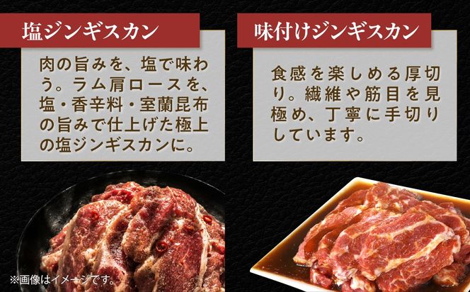 塩ジンギスカン500g 味付けジンギスカン500g セット 選べるパック数 各 1 / 2 / 3 パック 回数 1回 / 3回 / 6回 / 12回 MROA300-v
