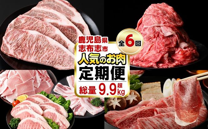 【定期便・全6回】お肉のお楽しみ定期便 総量9.9kg t0122-001