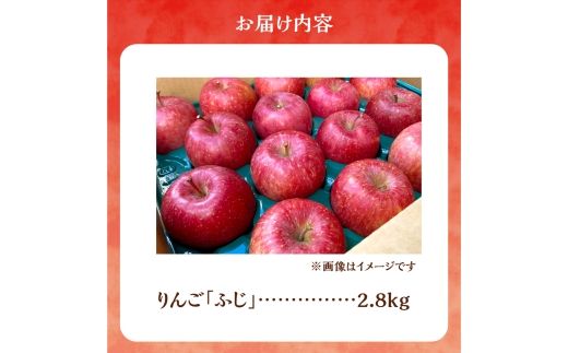 【先行予約：2026年12月上旬より発送】りんご（ふじ）2.8kg【北海道余市町産】_Y103-0076