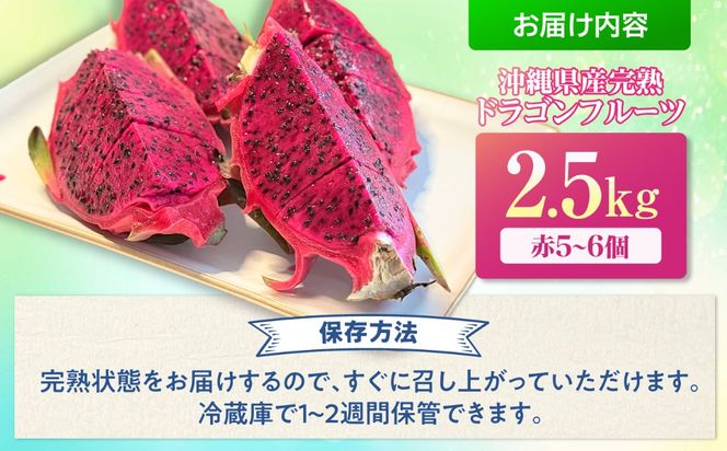 【2026年発送】 農家直送！南国の果物 ドラゴンフルーツ 2.5kg 火龍果 果物 フルーツ デザート お取り寄せ 沖縄市 / タカエス フルーツ＆ベジタブル [BCBH002]