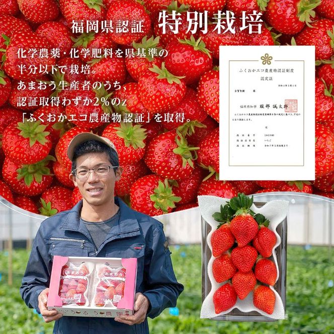 いちご 2026年2月より発送 うるう農園のあまおう大福キット(あまおう1パック＋大福6個セット) 果物 和菓子 生菓子 苺大福 フルーツ 和スイーツ 特別栽培 福岡県産 おやつ ※配送不可：離島