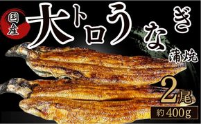 30年間継承されてきた秘伝のタレで焼き上げたうなぎの蒲焼き 312011_FZ001