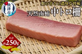 a14-111　天然 南まぐろ 中トロ柵 約250g
