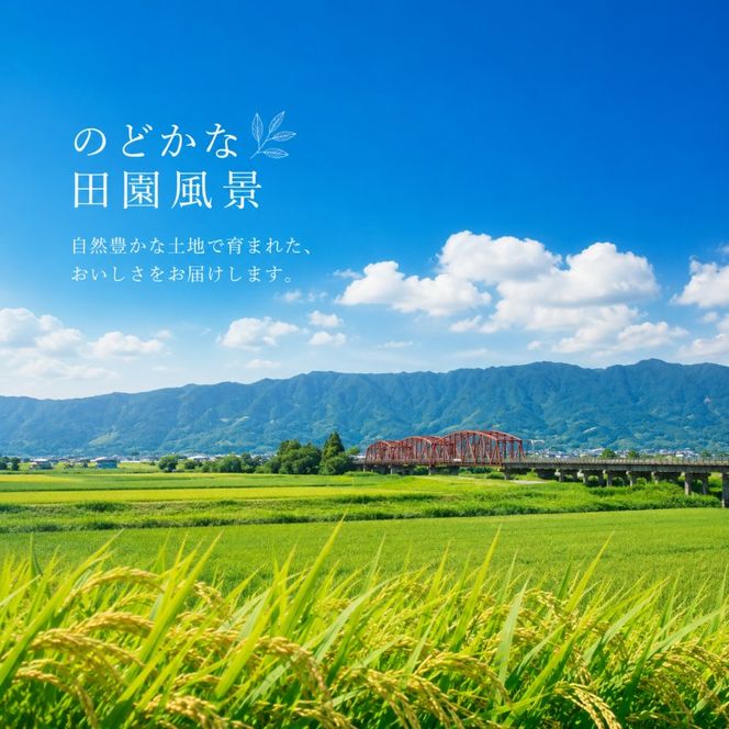定期便 12回 吉野家 牛すい 20袋 フリーズドライ 常温保存 食品 牛肉 インスタント 常温 非常食 保存食 災害 防災 備蓄 ローリングストック 非常用 備蓄用