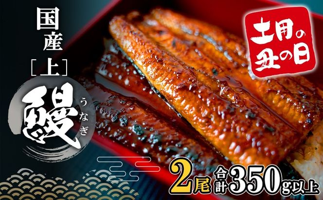国産 うなぎ 蒲焼 2尾  350g以上！ 国産 うなぎ蒲焼き 人気 鰻 unagi 鰻蒲焼 K2185