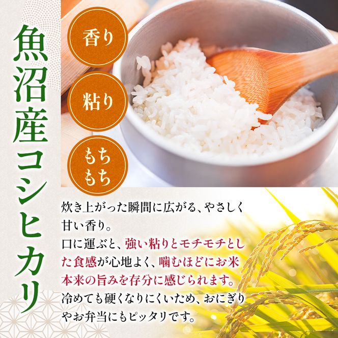 令和7年度産【十日町産】 魚沼産コシヒカリ15kg 米 お米 こしひかり 精米 新潟 