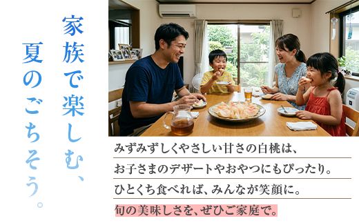 白桃 約1kg（4～5玉）和歌山県産 厳選 化粧箱入り ｜ 白鳳・清水白桃・川中島・もも・はくとう【化粧箱入り】