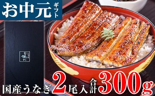 [お中元・夏ギフト用]国産うなぎ 蒲焼き 大サイズ 2本 合計300g以上(A1178-1)