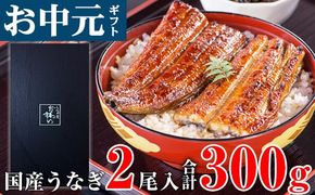 【お中元・夏ギフト用】国産うなぎ 蒲焼き 大サイズ 2本 合計300g以上(A1178-1)