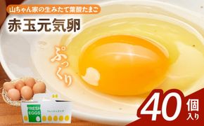 【山ちゃん家の生みたて葉酸たまご】赤玉元気卵（40個入り）［132Y06］