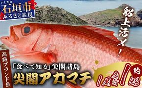 【予約受付】【3月以降順次発送】高級ブランド魚 尖閣赤マチ 1尾 約1kg 下処理済【沖縄三大高級魚】尖閣諸島 刺身 焼魚 煮物 鮮魚 冷凍 ムニエル 天然 洋食 和食 白身魚 高級魚 GK-3