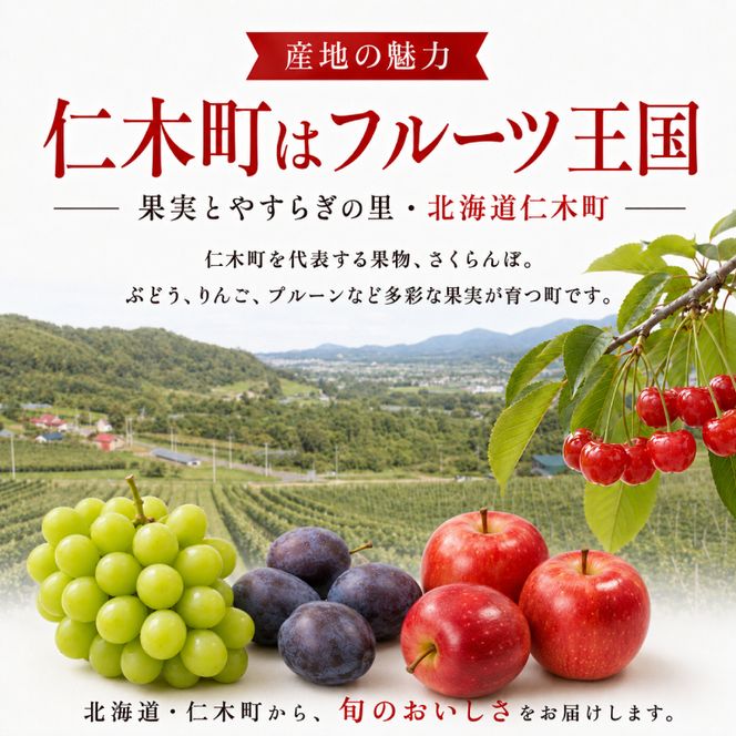2027年発送 北海道 仁木町産 さくらんぼ 1kg (500g×2) 佐藤錦または紅秀峰 果樹 サクランボ チェリー フルーツ 果物 果物類 ギフト 仁木町 仁木 [くくり農園]