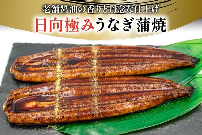 うなぎ 国産 日向極み うなぎ蒲焼 2尾 計240g以上 【たれ・山椒付き】 [日向サンパーク 宮崎県 日向市 452061502] ギフト 小分け 真空パック 鰻 ウナギ うなぎの蒲焼 蒲焼 蒲焼き