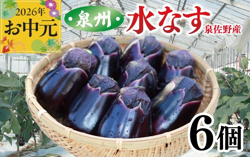 005A759t [お中元対応]泉州 泉佐野市産 ハウス水なす 6個[茄子 泉佐野産 とれたて 新鮮野菜 やさい 高評価]